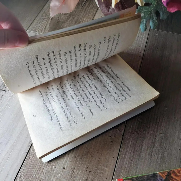 Marvin Redpost Scholastic Books By Louis Sachar Book Bundle - Picture 5 of 8